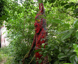 Le diable aux yeux catadioptriques